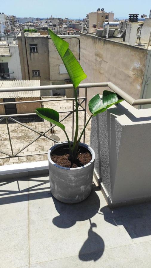 My Home In Greece 아테네 외부 사진