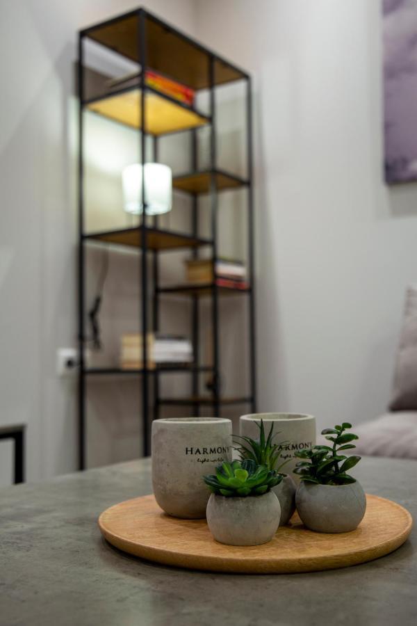 My Home In Greece 아테네 외부 사진