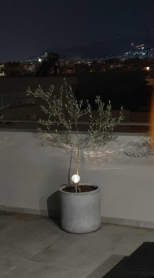 My Home In Greece 아테네 외부 사진